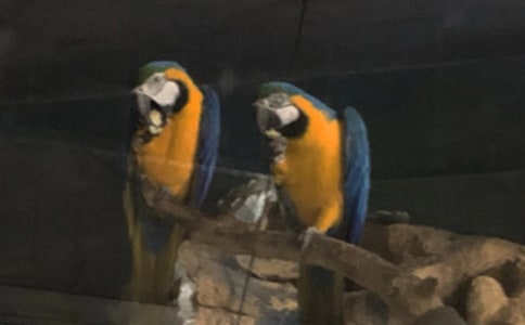 �W�^�~��˯�¬F������x��