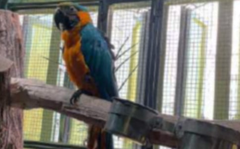 ��Ƥ�W�^���ļ���15ƪ