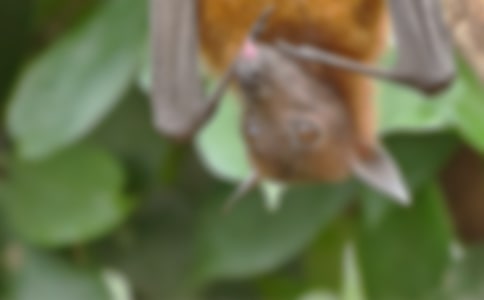 �������㡷���x���450��