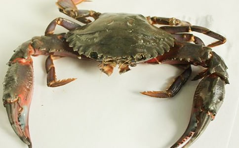 孤獨的螃蟹讀后感(精選5篇)