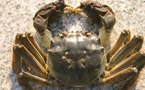 ׽�з_��ӽ̰�