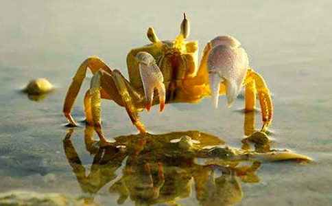 �а�ƌW�̰����з