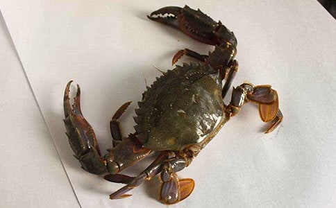 �з����ӛС�W��ӛ300��