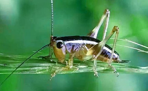 �������򾡷��x��