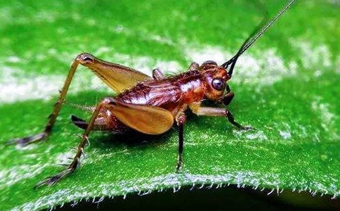 ׽������[����]