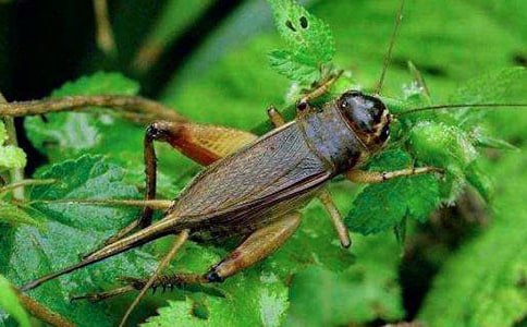 �����סլ������Ľ̰���ͨ��14ƪ��