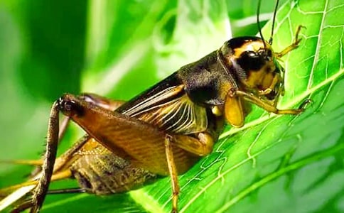 ׽���x������]