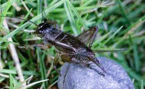 ���x���400��