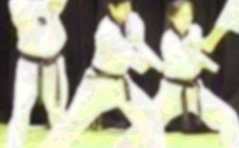 跆拳道活動計劃