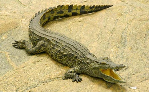 ���B�{�~�@�����~����