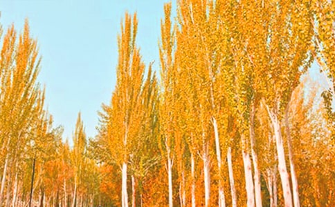 �ח�������400�֣����x43ƪ��