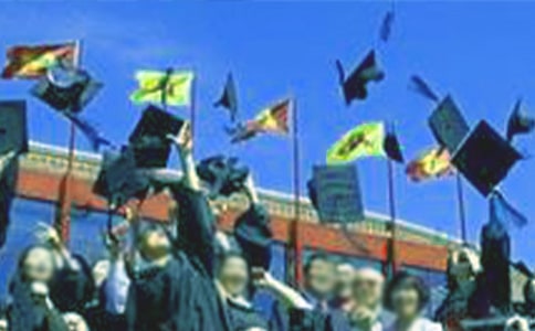 ���x�������I(y��)���ĺϼ�9ƪ