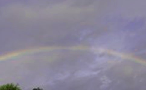 ���P���۵����ģ��L���^����Ҋ�ʺ磨ͨ��48ƪ��