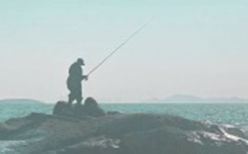 去釣魚作文450字(精選74篇)