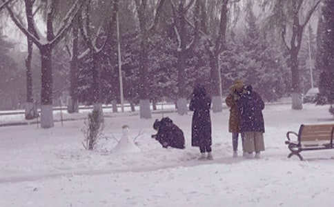 ���ռ�������600�֣�ͨ��37ƪ��