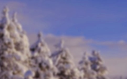 �옷�Ķ�������