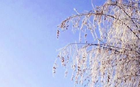 �����P�Ć����Z