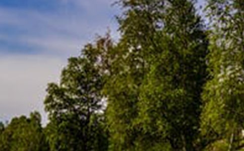 ��;���L�����ģ�ͨ��49ƪ��