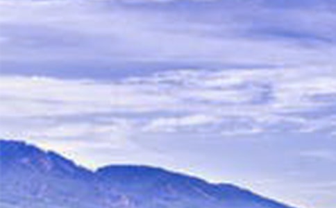 �����x���������L������600��4ƪ