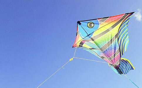 【優選】放風箏作文15篇