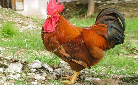 �ö��Ĺ��u���ľ��x(15ƪ)