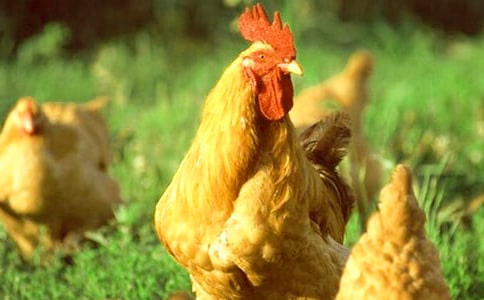 �����㣩�ö��Ĺ��u����15ƪ