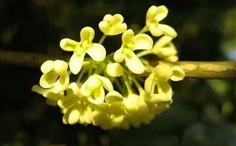 �𻨺þò�Ҋ���ģ����x30ƪ��