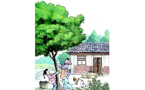 ���؂䡿�����꡷�u�n��