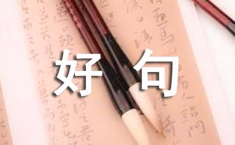 人生感悟的好句【熱門】