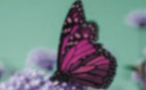 �����]����������300����ƪ