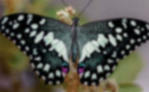 ���������ģ����x74ƪ��