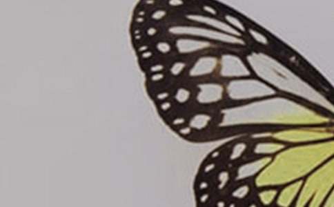 �P(gu��n)�ں����ă�(y��u)������140�t