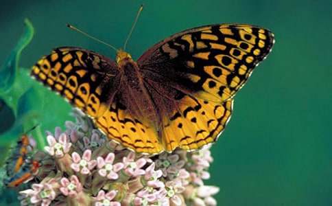 �����������300��9ƪ