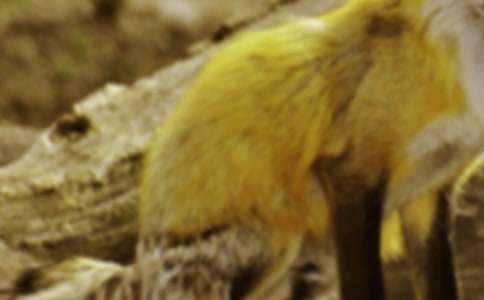 ��؂�cС�u���ģ����x10ƪ��