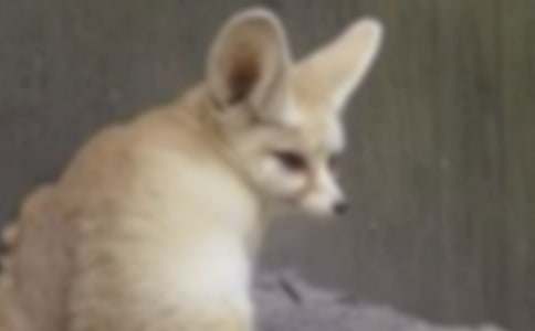 ��؂�cС�u����