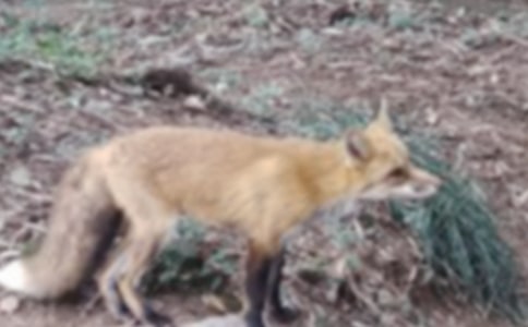 С؈�ͺ�؂����13ƪ