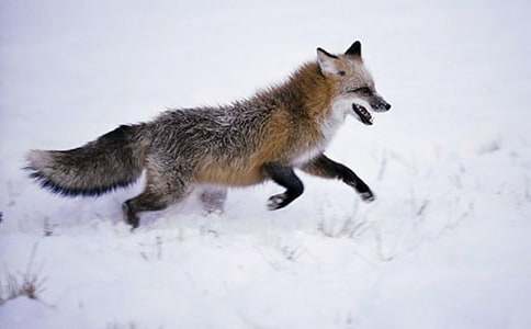 ��؂��С�u����