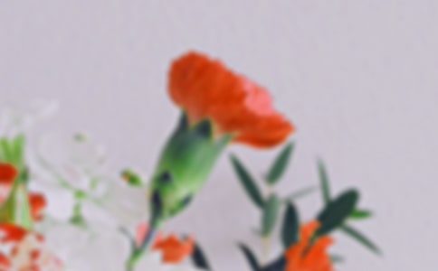 記憶深處的花朵作文