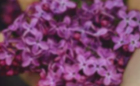 記憶深處的花朵作文(集合45篇)