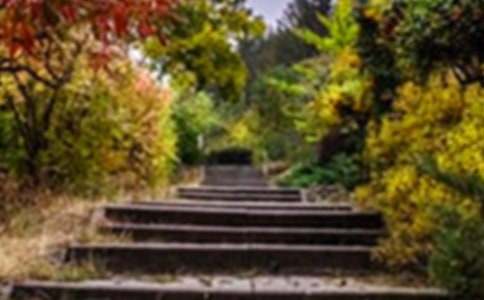 美麗的花園作文(精選39篇)