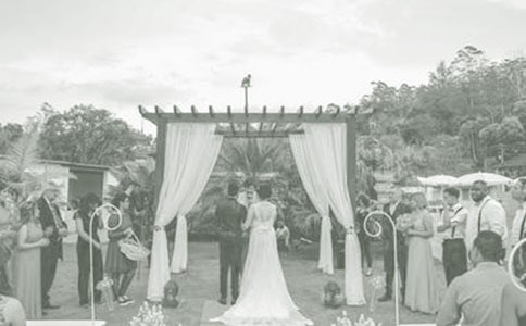 ���Ԅ�(chu��ng)���Y�߄�������ͨ��23ƪ��