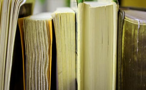 教育培訓機構語文工作計劃(通用18篇)