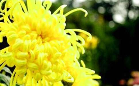 �茑�ջ������ģ��\��15ƪ��