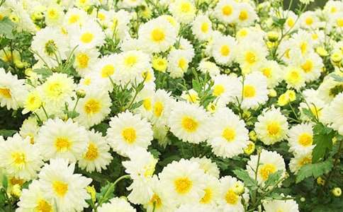 ����ϲ�g�ջ����ģ����x84ƪ��