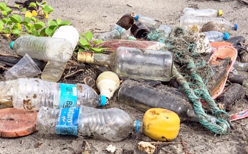 ����������15ƪ[��]