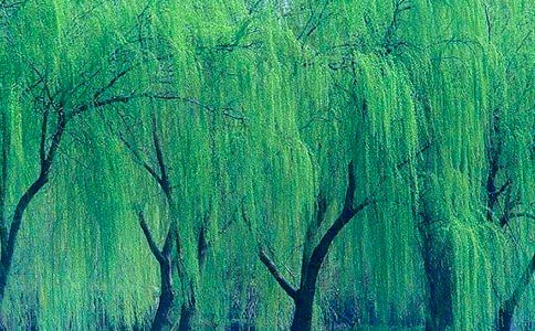 ������ʲô�ĔM�˾�120��