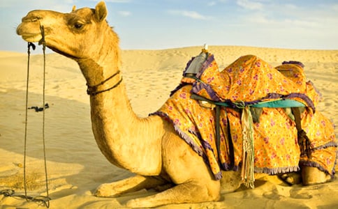 ����̡�����x�}����