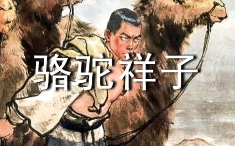 《駱駝祥子》讀書筆記(精選108篇)