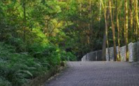 爬山的作文(通用79篇)