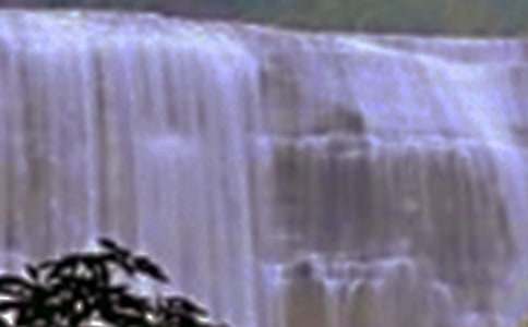 �������ٲ�����600����ƪ